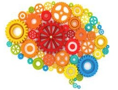 Plastic Brains