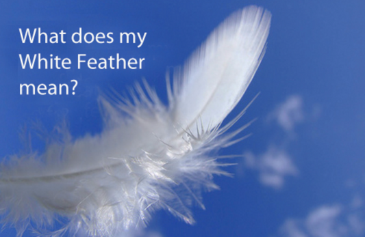 Step into Mediumship One Day Workshop