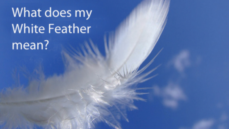 white feather